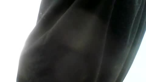 gezuz42069 online show from March 11, 5:49 am