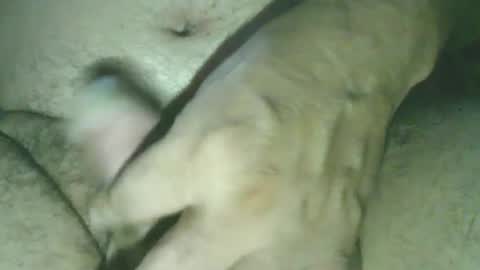 GuidoGiovan online show from September 24, 7:07 am