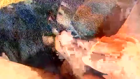 Gman online show from March 2, 6:27 am