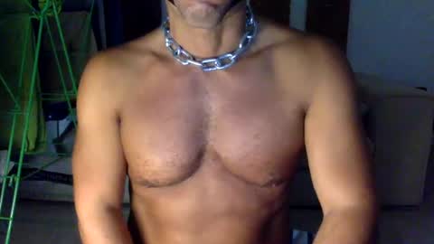 gnegneita online show from August 5, 8:19 am