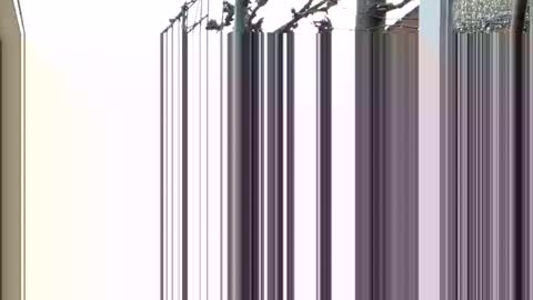   online show from December 23, 12:41 pm