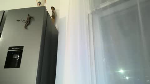 Snapshot of gomezgonz5 chatting on October 16, 7:22 pm gomezgonz5 online show from October 16, 7:22 pm