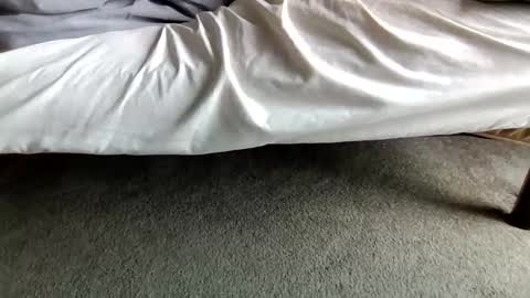 watch me stroke online show from April 28, 4:33 pm