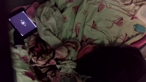 grd137 online show from March 3, 8:45 am