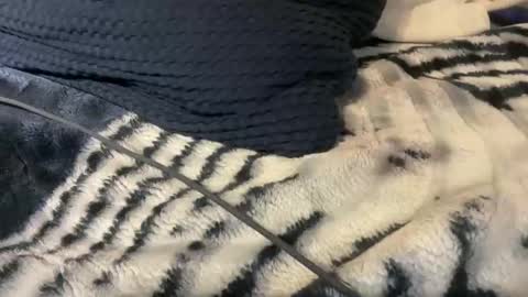 gumbywanna online show from November 16, 2:57 am