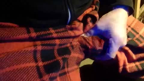 H2omygod online show from January 22, 11:01 am