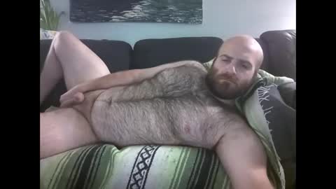 Hairiest Bear online show from May 2, 8:28 am