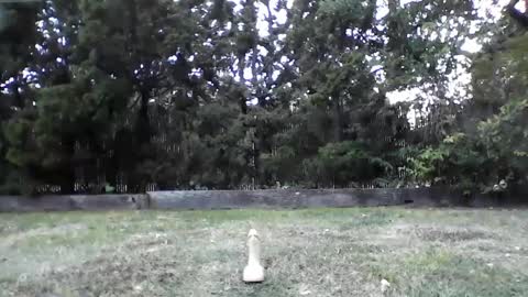 HandySmurf online show from October 1, 2:32 pm