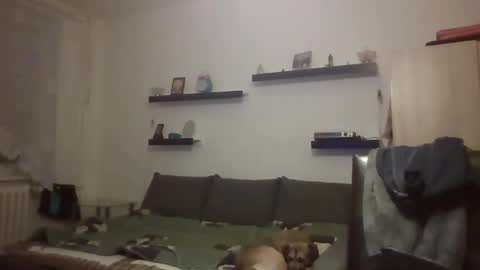 Snapshot of hanzik1954 chatting on February 9, 9:39 pm hanzik1954 online show from February 9, 9:39 pm