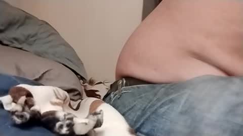 hardcock4u1973 online show from March 1, 5:20 am