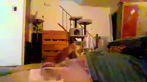 cervixpainter25 online show from January 13, 1:54 am