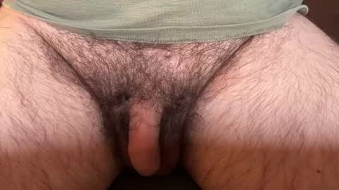 Hairy cock 1981 online show from September 17, 10:27 am
