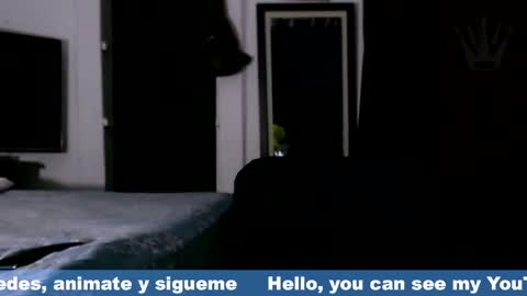 Eros online show from April 1, 11:35 pm