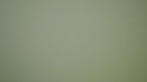 John Pearl online show from December 30, 10:01 pm