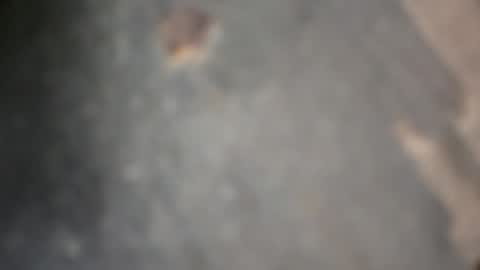 Snapshot of herletigre12345 chatting on October 18, 5:34 am herletigre12345 online show from October 18, 5:34 am