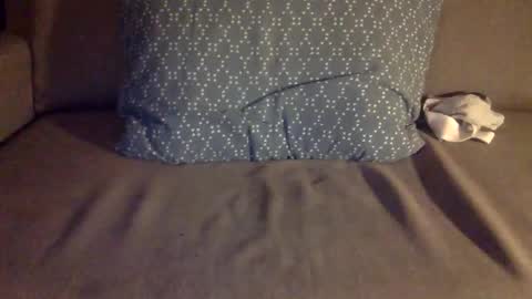 fit uk decorator online show from September 11, 6:07 pm