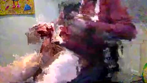 Himbo KJ online show from December 2, 11:35 am