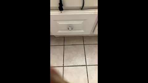 hnr517 online show from February 15, 3:02 am