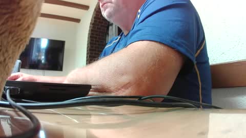 hofnung online show from July 3, 1:17 pm