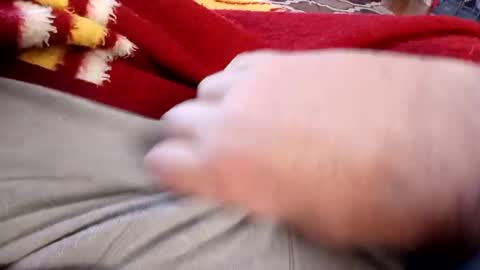 holycannoli123 online show from March 2, 1:40 pm