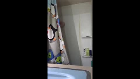 Dominick Subversal online show from March 14, 9:27 am