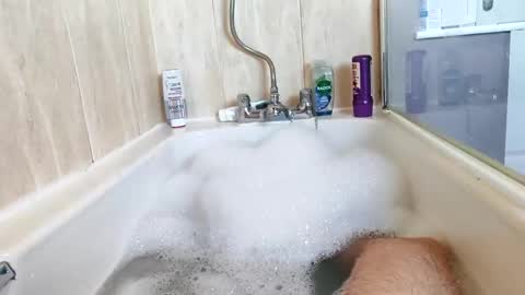 hornybiker1987 online show from November 25, 12:07 pm