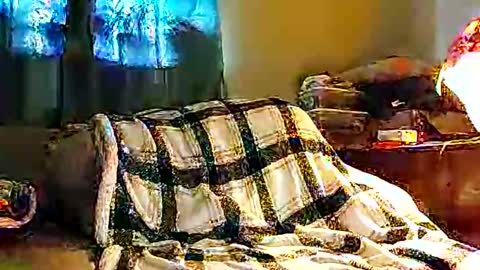 hornyhotgy27 online show from December 8, 8:15 pm