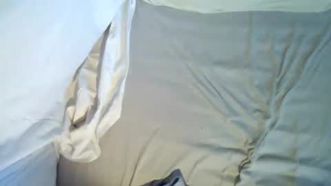 Sebie online show from February 7, 2:56 pm