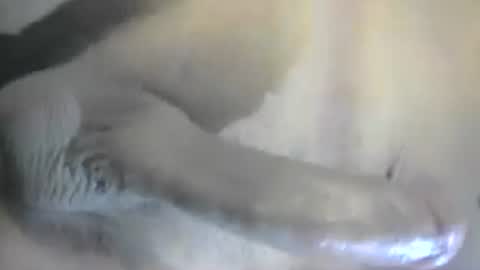 hotadriz online show from July 2, 7:31 pm