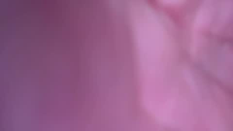 htwnswangn9 online show from March 27, 9:43 am