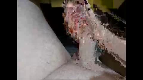 hung_mac0 online show from April 23, 3:03 pm