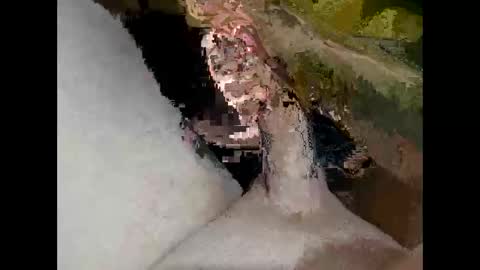 hung_mac0 online show from April 20, 1:57 pm