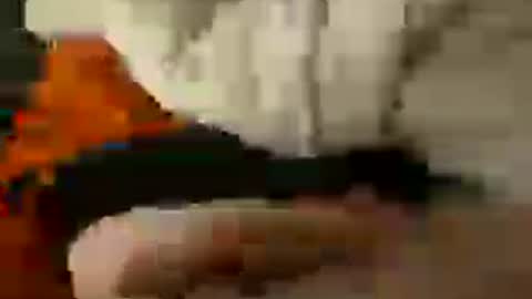 hung_mac0 online show from July 11, 6:48 am
