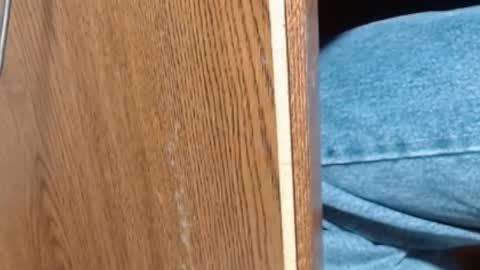 hungsofine online show from January 8, 6:52 pm