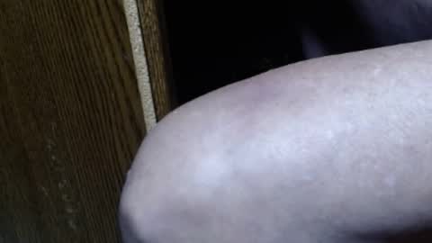 hungsofine online show from February 7, 12:09 am