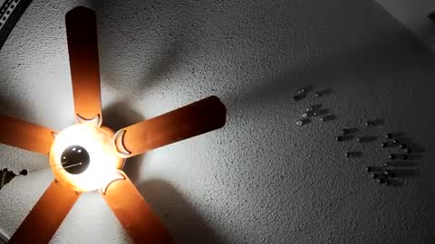 hungtxcock92 online show from January 27, 5:58 am