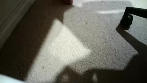 Hypeman online show from February 24, 6:03 am