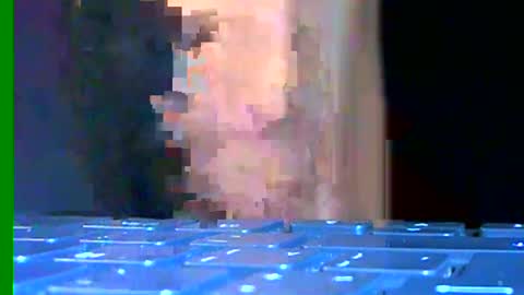 Snapshot of ian_zaenzz chatting on January 3, 8:32 pm Samuel igsamuelnoguera 1333 online show from January 3, 8:32 pm