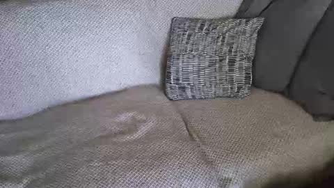 SnowTiger online show from February 19, 11:17 am