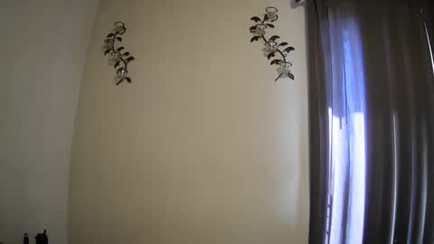 Snapshot of imnewherelollol chatting on February 25, 4:00 pm Majordadbod101 online show from February 25, 4:00 pm