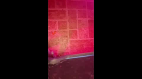 indegeniouscreature online show from January 9, 8:41 am