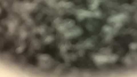 indian_student_for_milfs online show from April 4, 12:57 pm