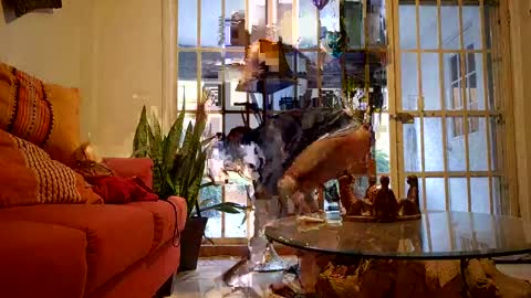 Snapshot of iscariot17 chatting on January 27, 12:12 am iscariot17 online show from January 27, 12:12 am