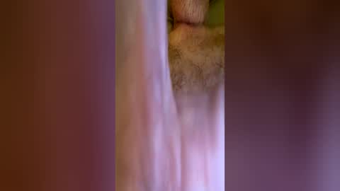 jackjackerman online show from June 12, 6:33 am