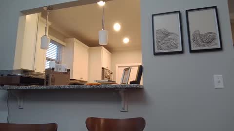 Jack Landon online show from March 31, 12:01 am