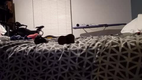 Snapshot of jaidenblake chatting on January 11, 8:00 am jaidenblake online show from January 11, 8:00 am
