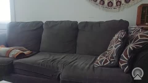 Jake online show from November 20, 6:40 pm