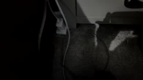 jamesfilmer699 online show from October 4, 11:48 am