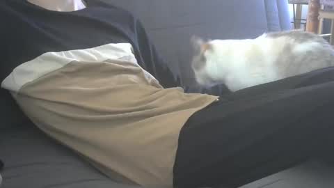 jasper 0 e23cm online show from September 21, 7:41 am