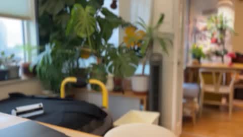 jaxz29 online show from February 20, 8:21 pm